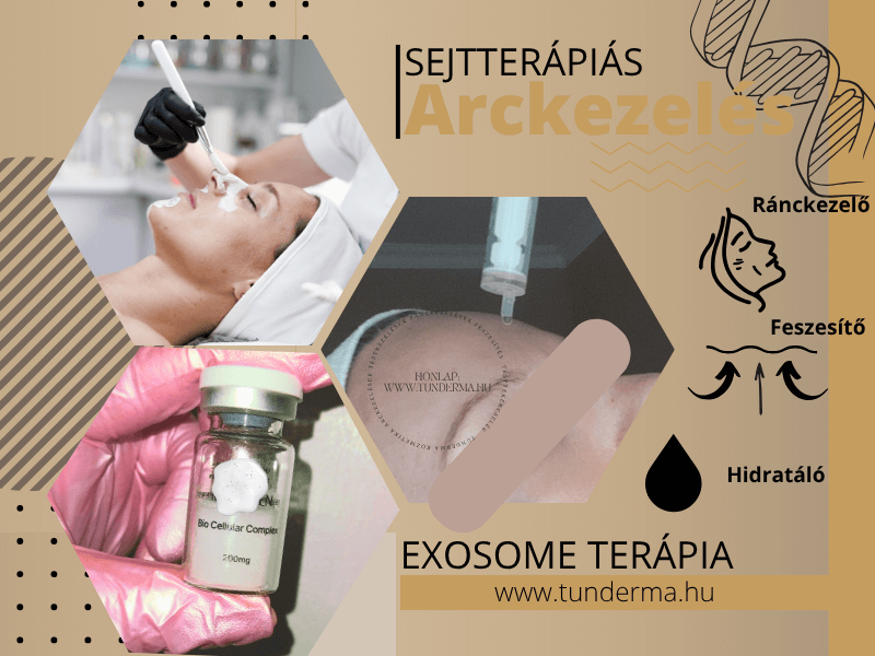 SETTERÁPIÁS ARCKEZELÉS