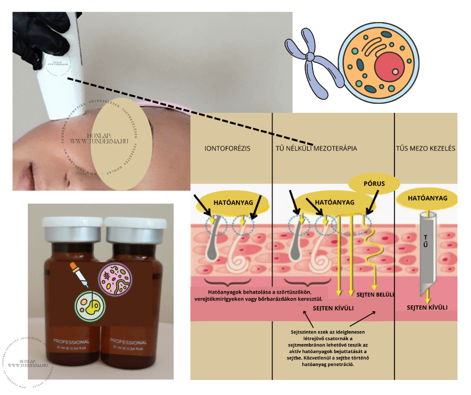 ELEKTROPORÁCIÓ - TŰ NÉLKÜLI HATÓANYAGBEVITEL