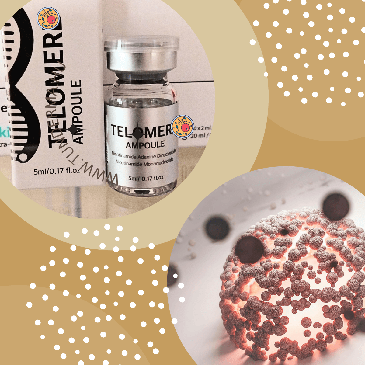 TELOMERE – Prémium Pro-Aging Program
